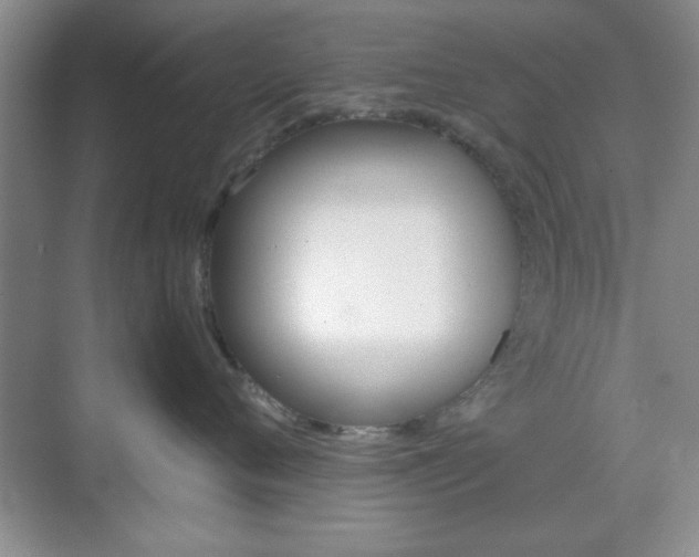 X0000071840720200606301104