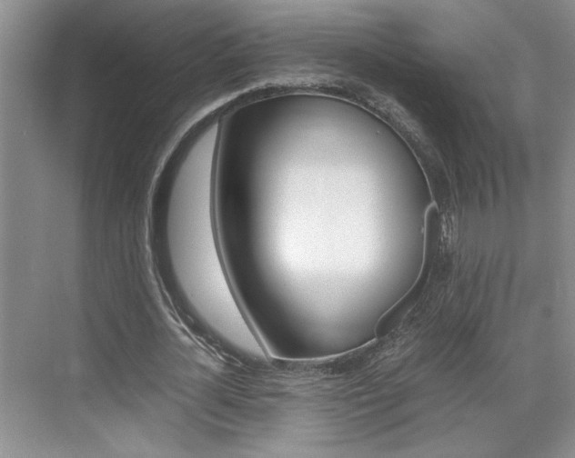 X0000071840724200606301103