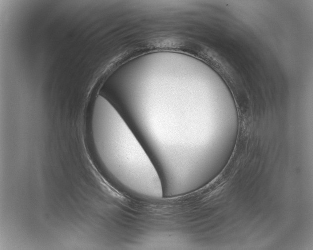 X0000071840725200606301103