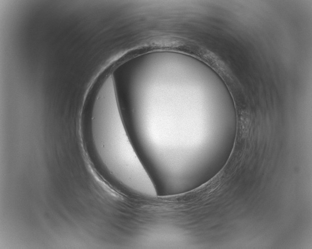 X0000071840726200606301103