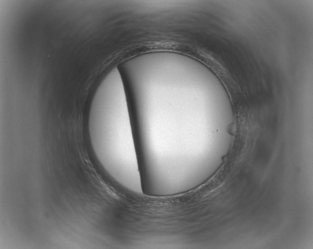 X0000071840729200606301103