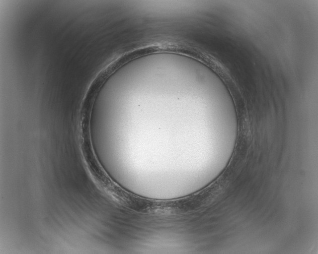 X0000071840730200606301103