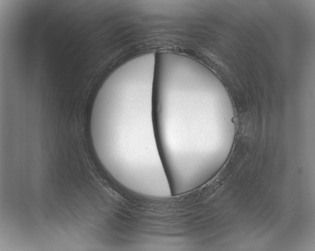 X0000071840737200606301103