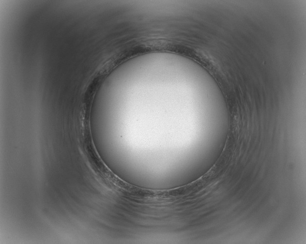 X0000071840739200606301103
