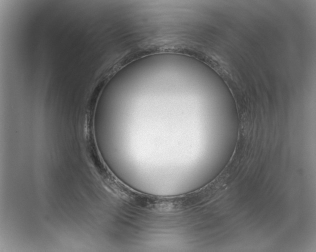 X0000071840740200606301103
