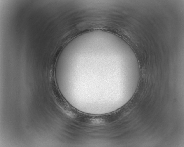 X0000071840741200606301103