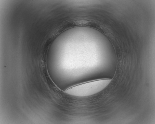X0000071840743200606301103