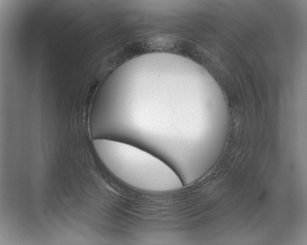 X0000071840745200606301103