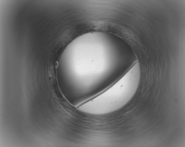 X0000071840748200606301103