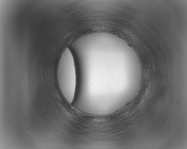 X0000071840749200606301103
