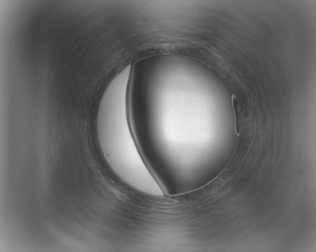 X0000071840750200606301103