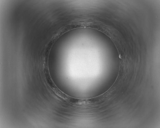 X0000071840752200606301103