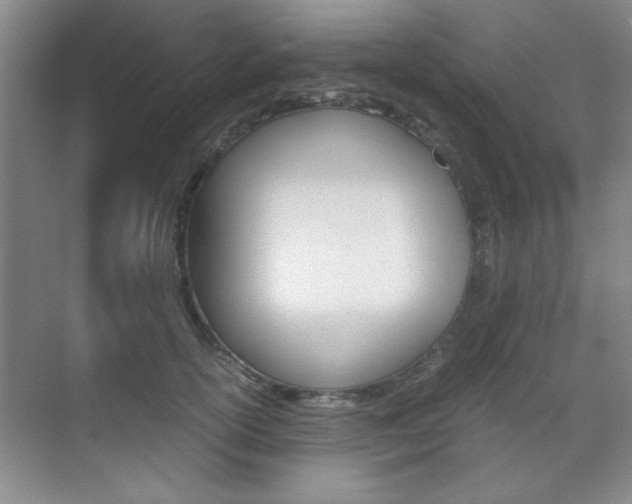 X0000071840754200606301103