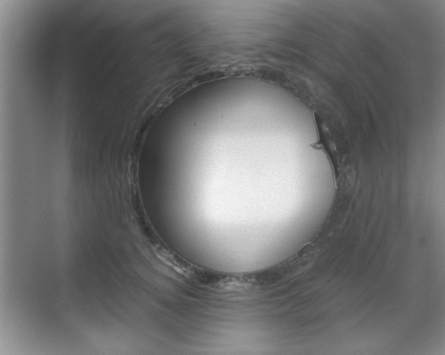 X0000071840756200606301103