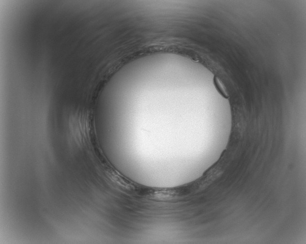 X0000071840758200606301103
