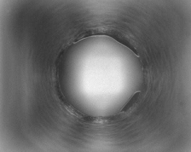 X0000071840760200606301103