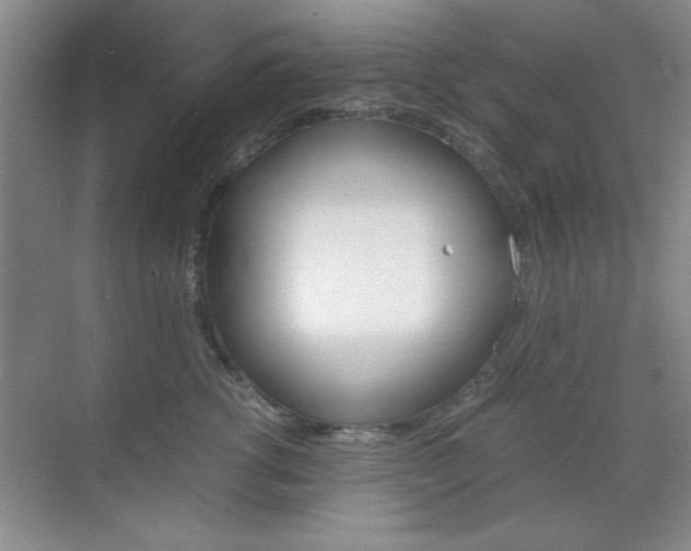 X0000071840762200606301103