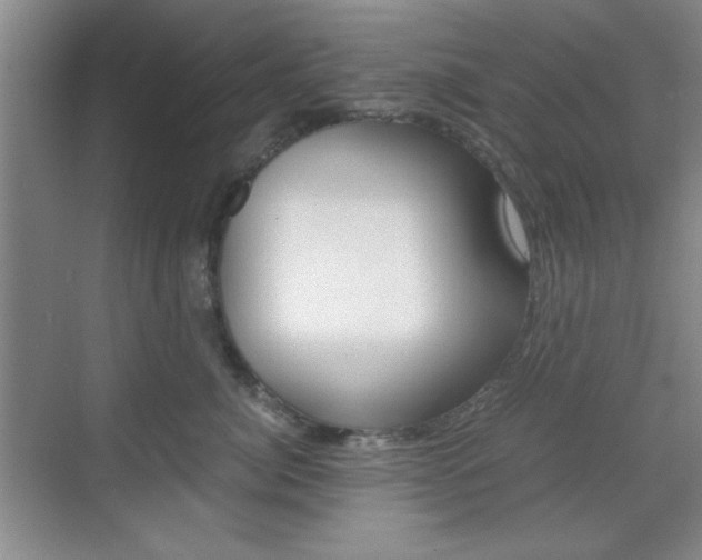 X0000071840764200606301103