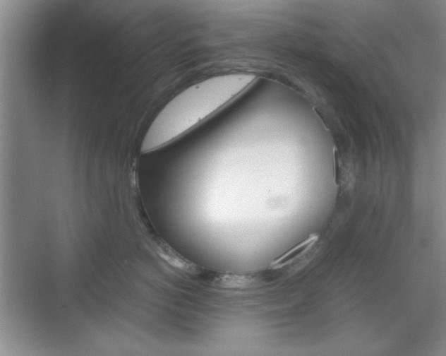X0000071840766200606301104
