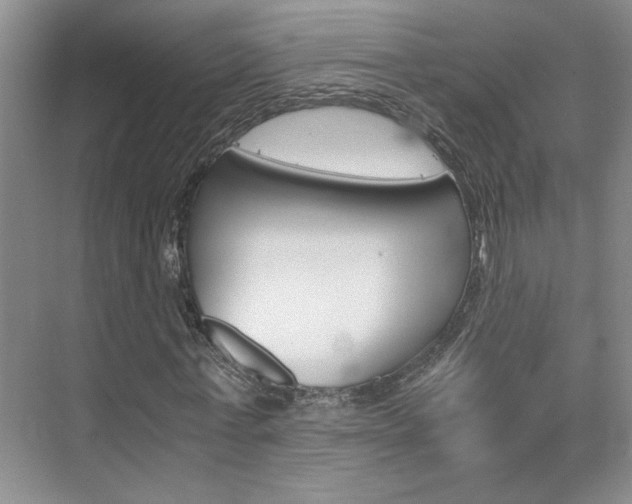 X0000071840771200606301103