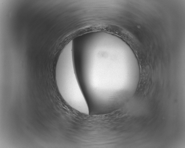 X0000071840773200606301103