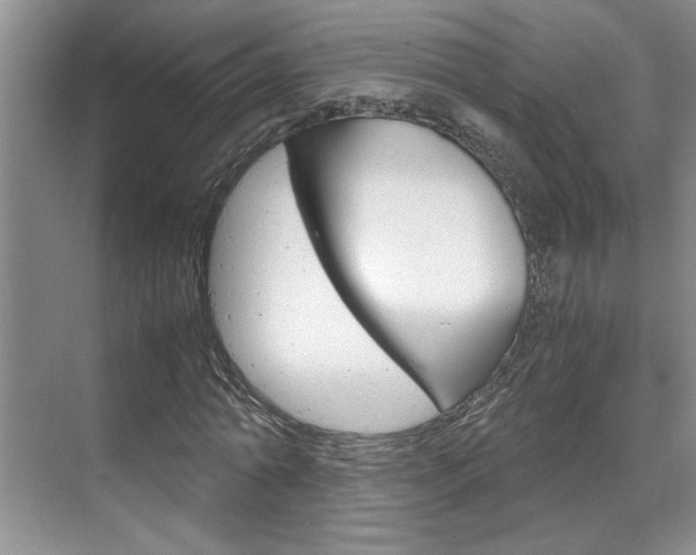 X0000071840774200606301103