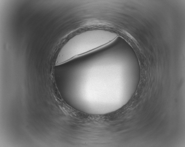 X0000071840775200606301103
