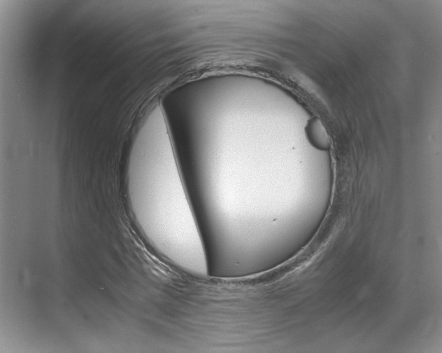 X0000071840777200606301103