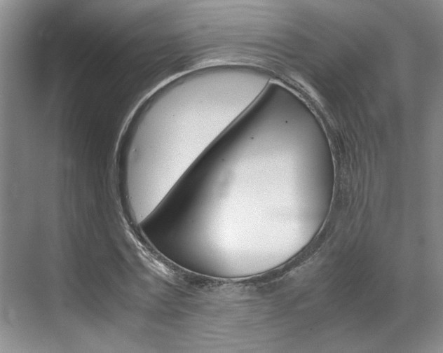 X0000071840779200606301103