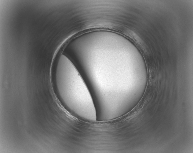 X0000071840780200606301103
