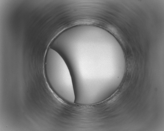 X0000071840802200606301102
