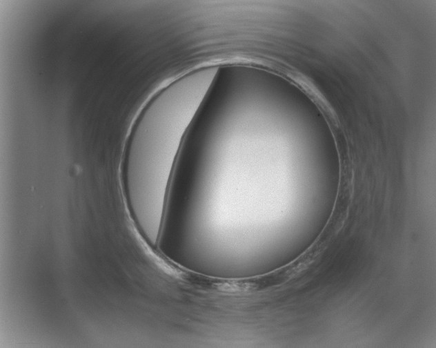 X0000071840805200606301102