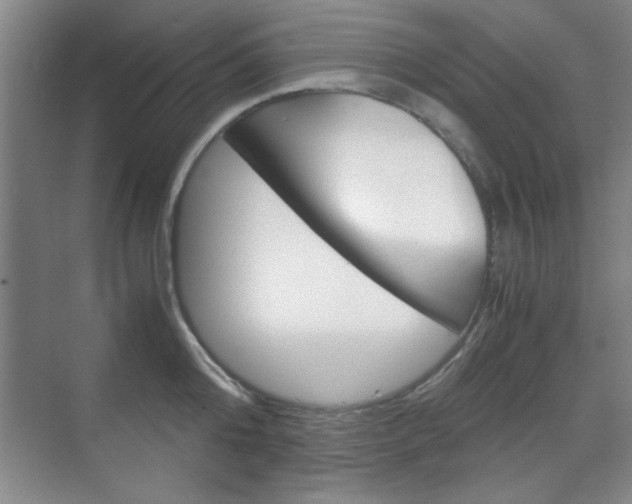 X0000071840808200606301102