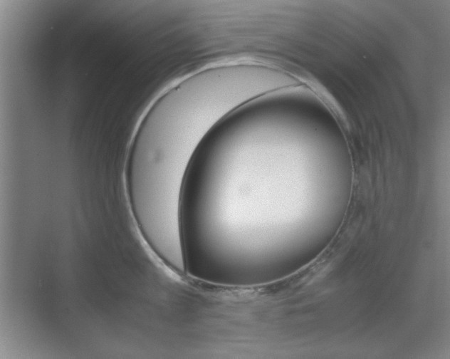 X0000071840813200606301102