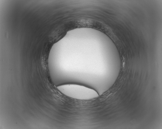 X0000071840819200606301101