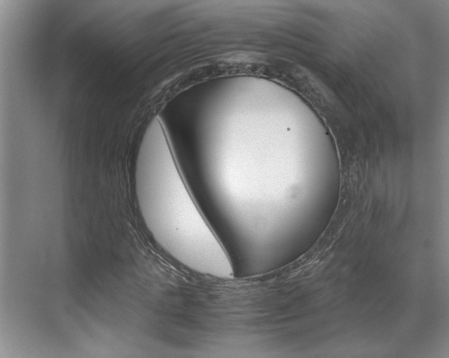 X0000071840821200606301101