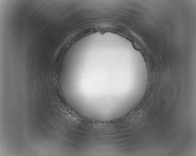 X0000071840823200606301101