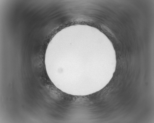 X0000071840824200606301101