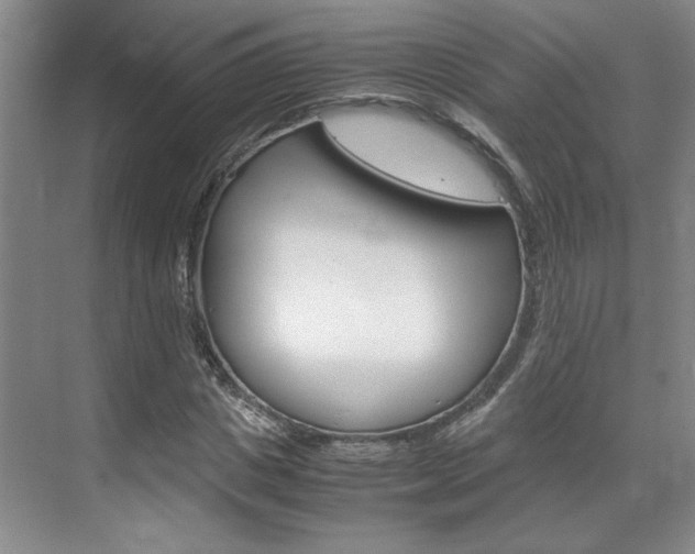 X0000071840825200606301101