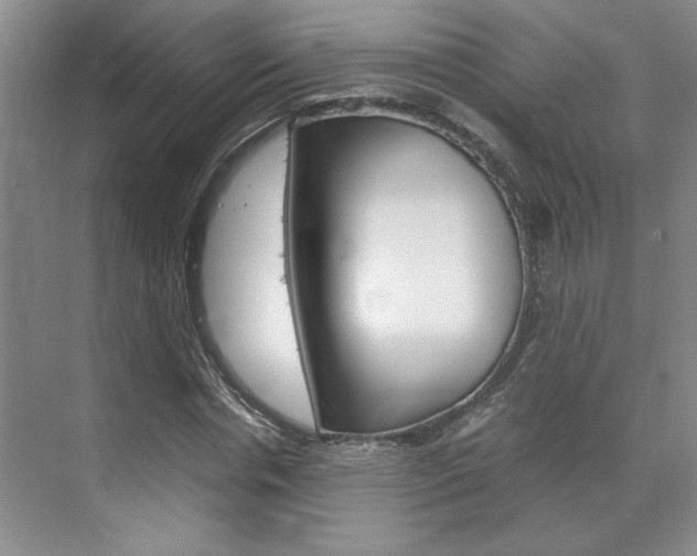 X0000071840826200606301101
