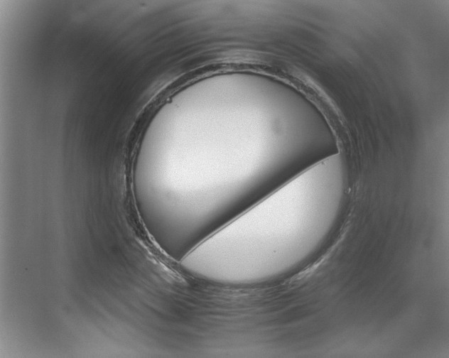 X0000071840829200606301101