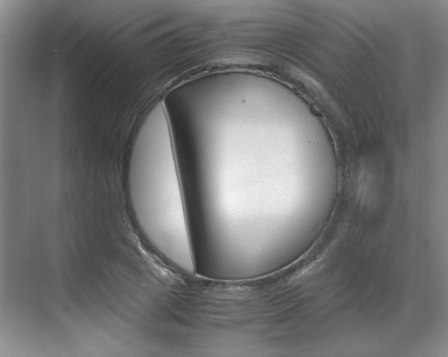 X0000071840833200606301101