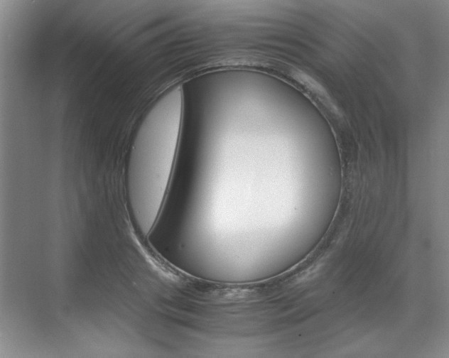 X0000071840841200606301102