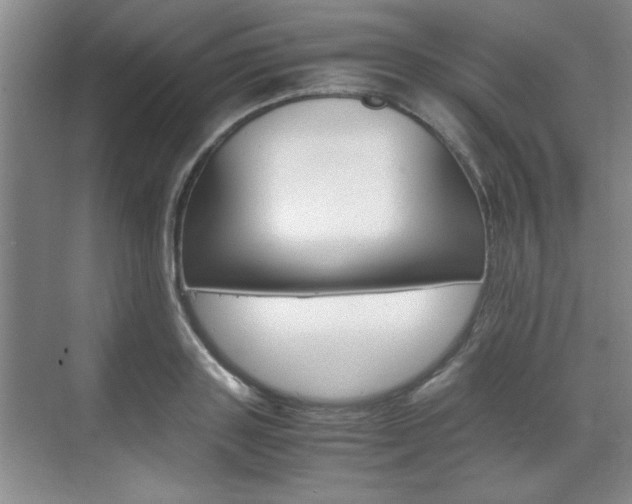 X0000071840843200606301102