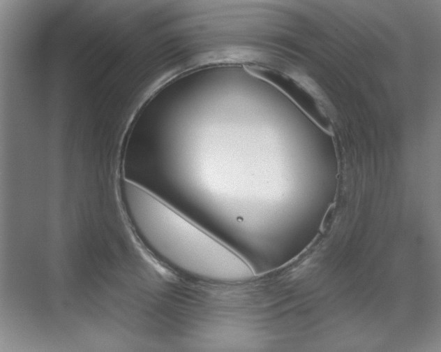 X0000071840850200606301102