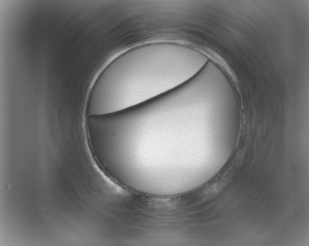 X0000071840855200606301102