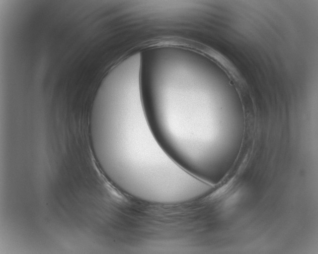 X0000071840857200606301102