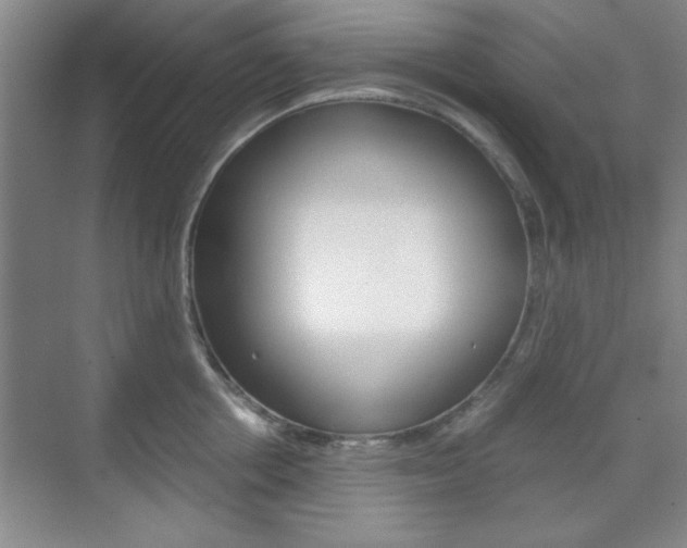X0000071840858200606301102