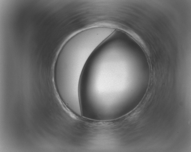 X0000071840862200606301102