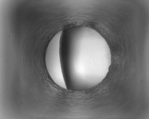 X0000071840865200606301101